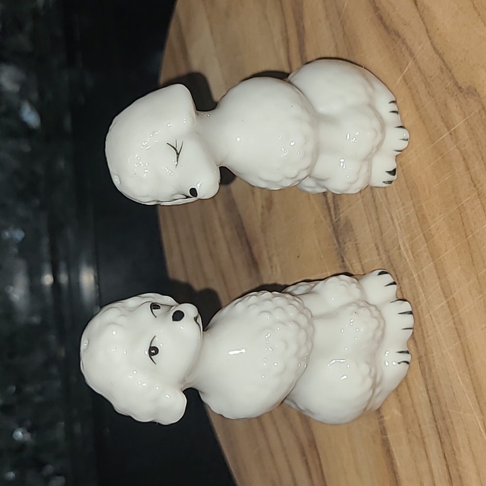 Poodle S&P Shakers Bone China